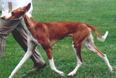 undefined{{pos:,w:,h:}}