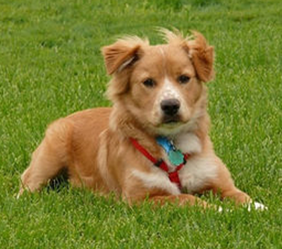 undefined{{pos:,w:,h:}}