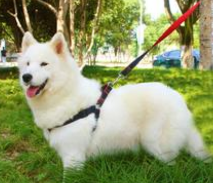 undefined{{pos:,w:,h:}}