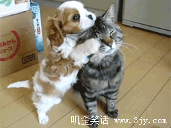 亲爱的，偶好稀饭你！