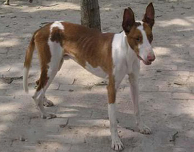 undefined{{pos:,w:,h:}}