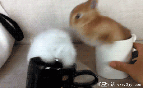 哎呀，卡住我了