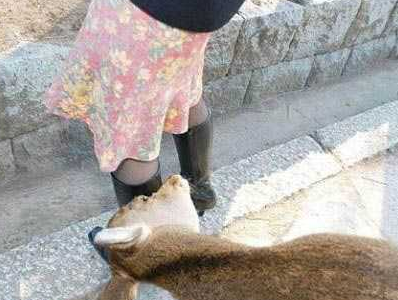 孽畜！光天化日之下