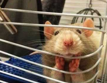 出差回来，这货一直这样盯着我看