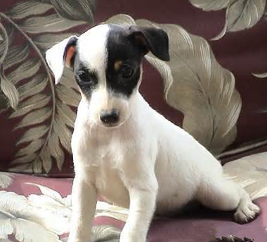 undefined{{pos:,w:,h:}}