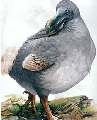 undefined{{pos:,w:,h:}}