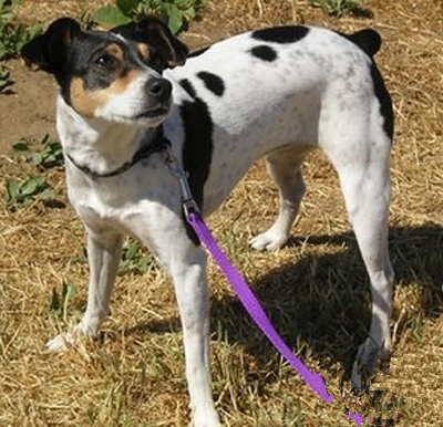 undefined{{pos:,w:,h:}}