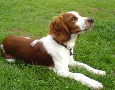 undefined{{pos:,w:,h:}}