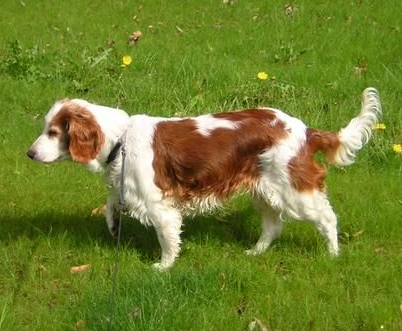 undefined{{pos:,w:,h:}}