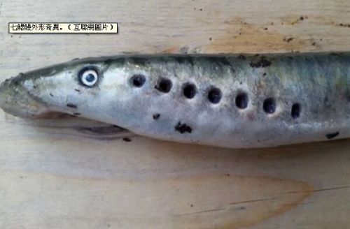 undefined{{pos:,w:,h:}}