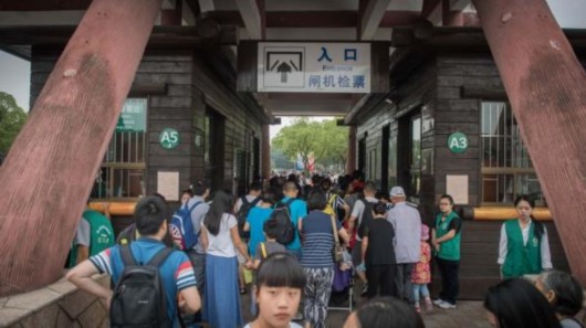 上海旅游节部分景点半价 野生动物园创下开园20年来最高接待纪录