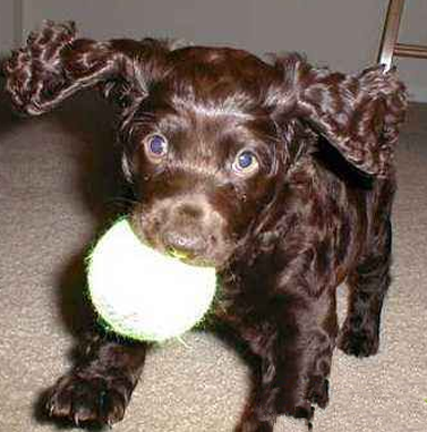 undefined{{pos:,w:,h:}}