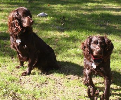 undefined{{pos:,w:,h:}}