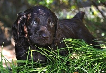 undefined{{pos:,w:,h:}}