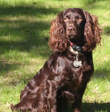 undefined{{pos:,w:,h:}}