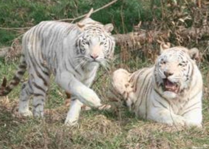 undefined{{pos:,w:,h:}}