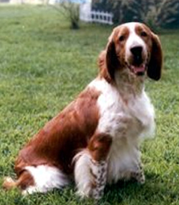 undefined{{pos:,w:,h:}}