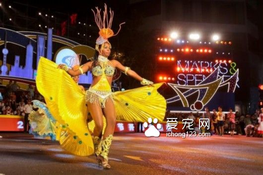 上海旅游节部分景点半价 野生动物园创下开园20年来最高接待纪录