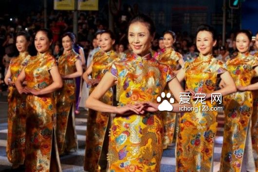 上海旅游节部分景点半价 野生动物园创下开园20年来最高接待纪录