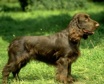 undefined{{pos:,w:,h:}}