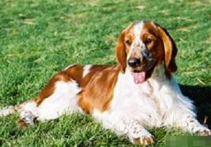 undefined{{pos:,w:,h:}}