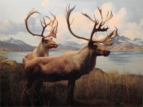 undefined{{pos:,w:,h:}}