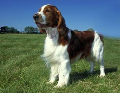 undefined{{pos:,w:,h:}}