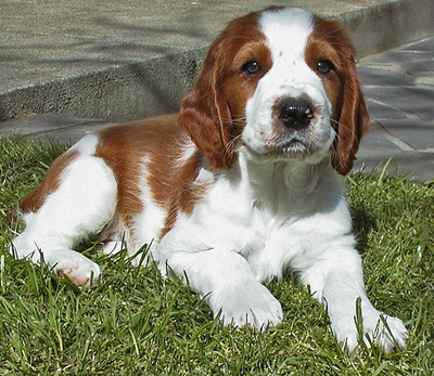 undefined{{pos:,w:,h:}}