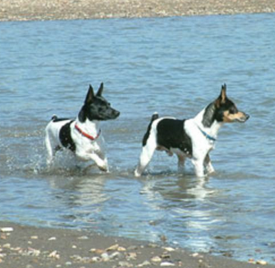 undefined{{pos:,w:,h:}}