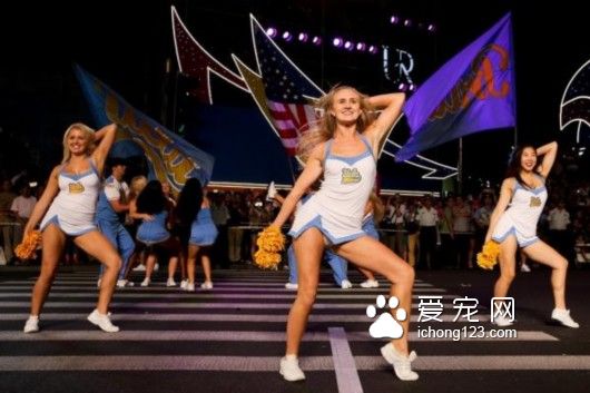 上海旅游节部分景点半价 野生动物园创下开园20年来最高接待纪录