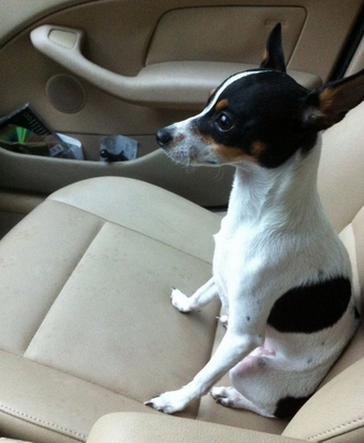 undefined{{pos:,w:,h:}}