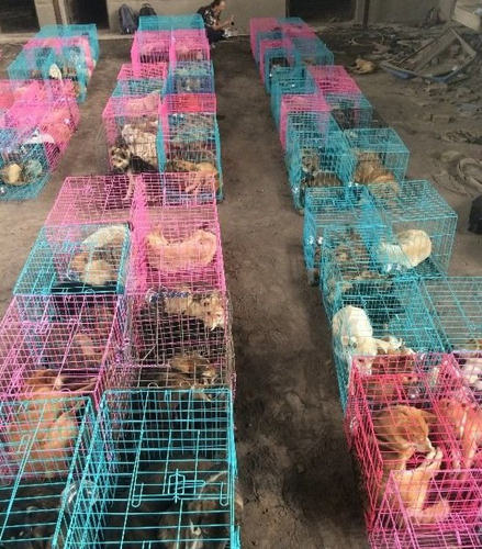 undefined{{pos:,w:,h:}}