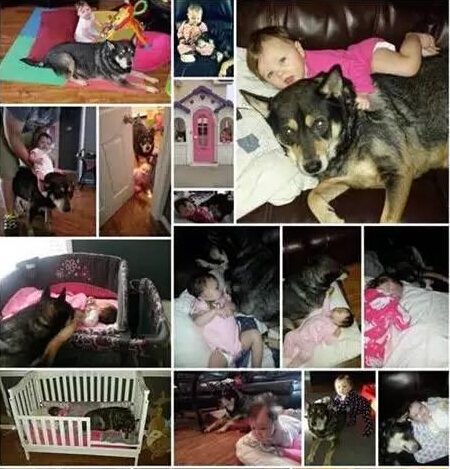 发现狗狗和女儿不见了 结果他们在一块有爱的睡觉