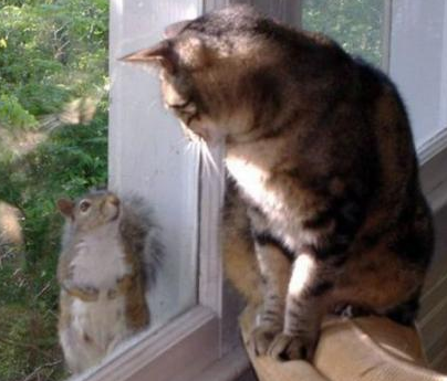 你走吧。我们没有结果的