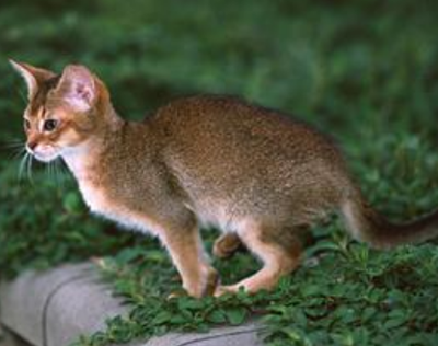 undefined{{pos:,w:,h:}}