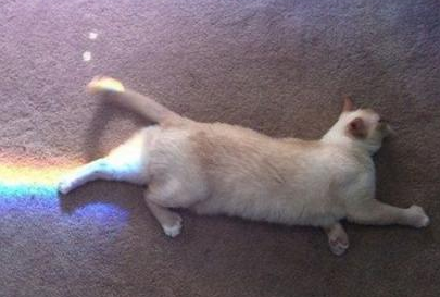 太阳，给我力量吧