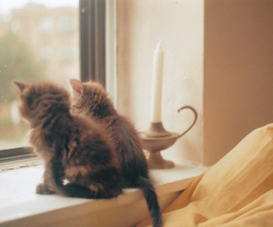 好想和你这样一起慢慢变老。