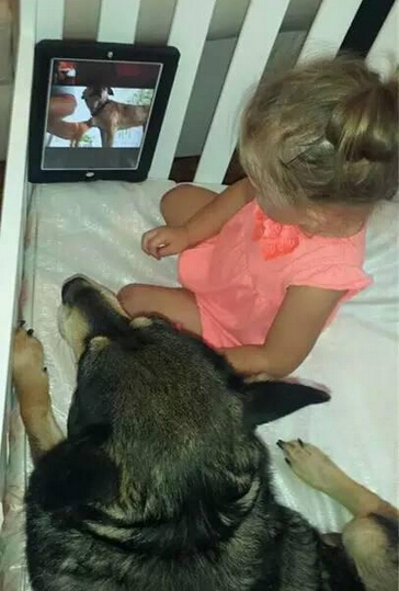 发现狗狗和女儿不见了 结果他们在一块有爱的睡觉