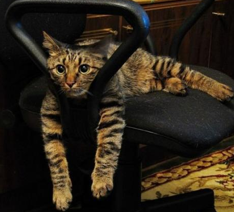 又是无聊的一天