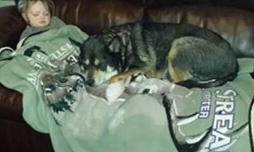 发现狗狗和女儿不见了 结果他们在一块有爱的睡觉