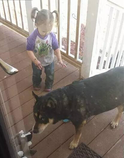 发现狗狗和女儿不见了 结果他们在一块有爱的睡觉