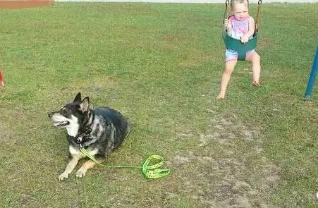 发现狗狗和女儿不见了 结果他们在一块有爱的睡觉