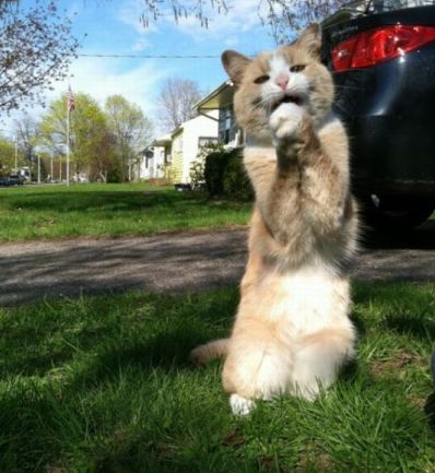 求求你饶了我吧