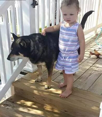 发现狗狗和女儿不见了 结果他们在一块有爱的睡觉