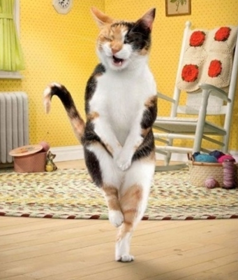 哈哈 不好意思啦