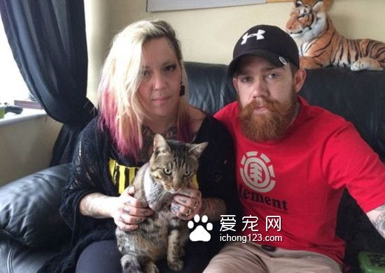 九命神猫： 两度中枪大难不死