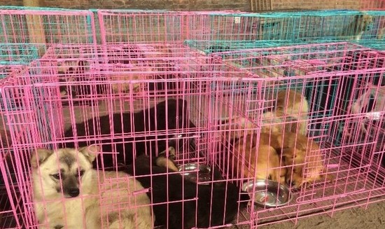 undefined{{pos:,w:,h:}}