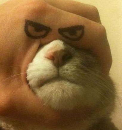 眼神瞬间犀利了不少