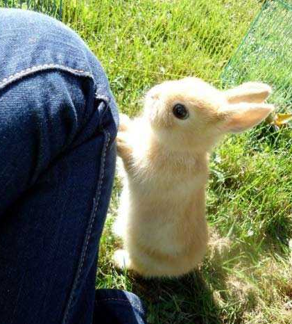 那个...你能抱一下我吗？