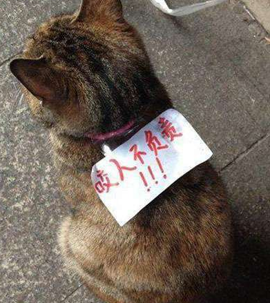 主人你吓谁呢？